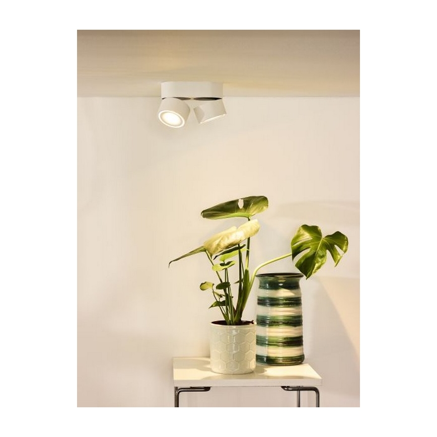 Lucide 35911/16/31 - LED dimmbare Punktleuchte YUMIKO 2xLED/8W/230V weiß