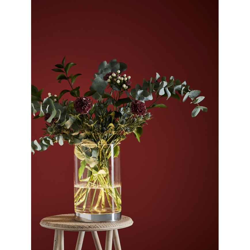 Markslöjd 107327 - LED Vase BOUQUET LED/3W/230V