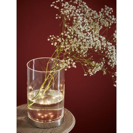 Markslöjd 107327 - LED Vase BOUQUET LED/3W/230V