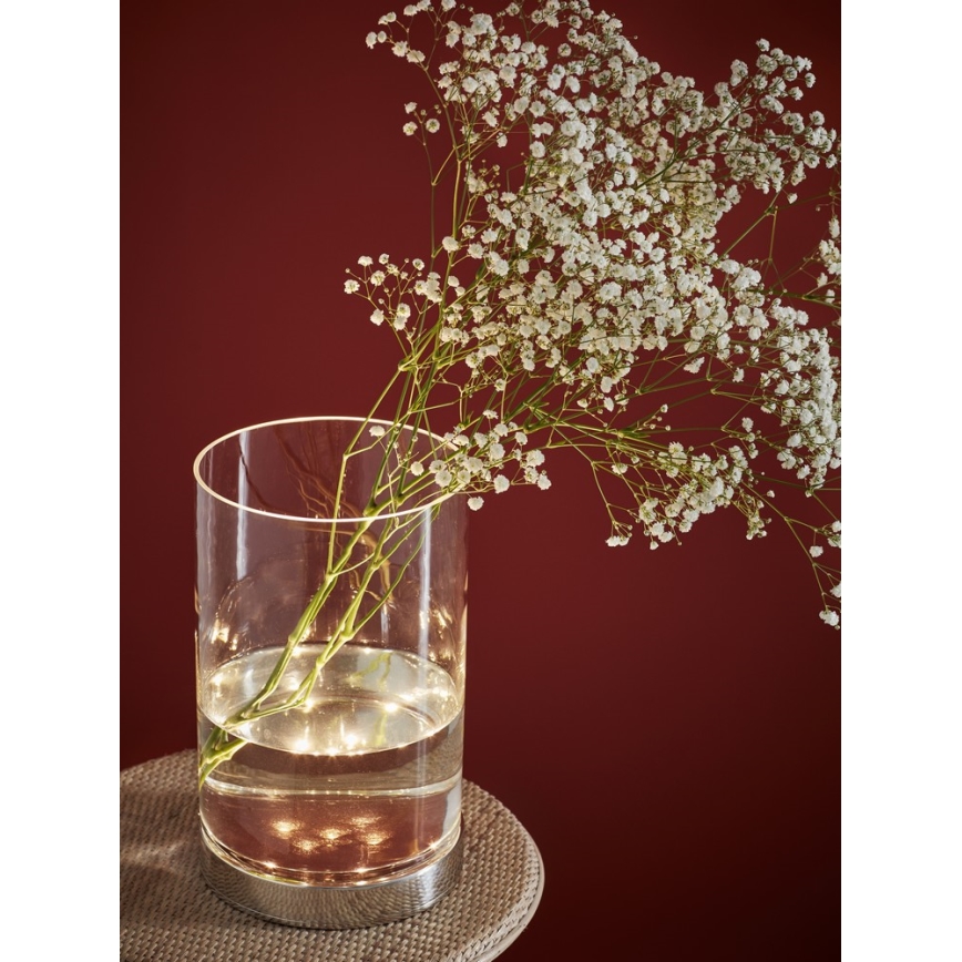 Markslöjd 107327 - LED Vase BOUQUET LED/3W/230V