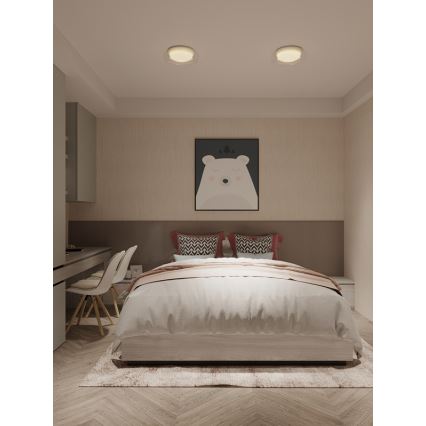 MAXLIGHT C0233 - LED-Deckenleuchte DUO LED/10W/230V d 34 cm weiß