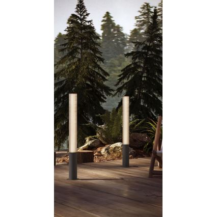 MAXLIGHT F0065 - LED Außenleuchte GARDENIA LED/25W/230V 105 cm CRI 93 IP65 anthrazit
