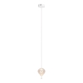 MAXLIGHT P0527 - LED-Hängeleuchte PALLONCINI 2xLED/3W/230V d 12 cm klar