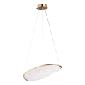 MAXLIGHT P0637D - LED-Hängeleuchte mit Kabel EMPIRE LED/17W/230V goldfarben