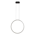 MAXLIGHT P0652 - LED Badezimmer-Pendelleuchte an Stahlseil VISUAL VER LED/22W/230V IP44 schwarz