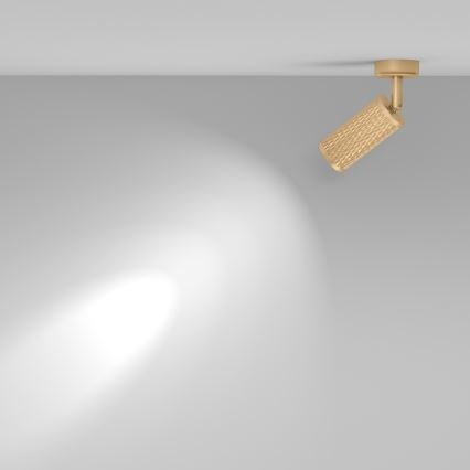 Maytoni C034CL-01G - Spotleuchte FOCUS 1xGU10/10W/230V goldfarben