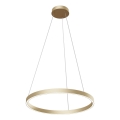 Maytoni MOD058PL-L32BS4K - LED-Kronleuchter an Aufhängung RIM LED/37W/230V 4000K d 60 cm golden