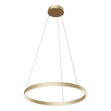 Maytoni MOD058PL-L32BS4K - LED-Kronleuchter an Aufhängung RIM LED/37W/230V 4000K d 60 cm golden