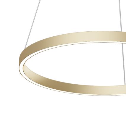 Maytoni MOD058PL-L32BS4K - LED-Kronleuchter an Aufhängung RIM LED/37W/230V 4000K d 60 cm golden