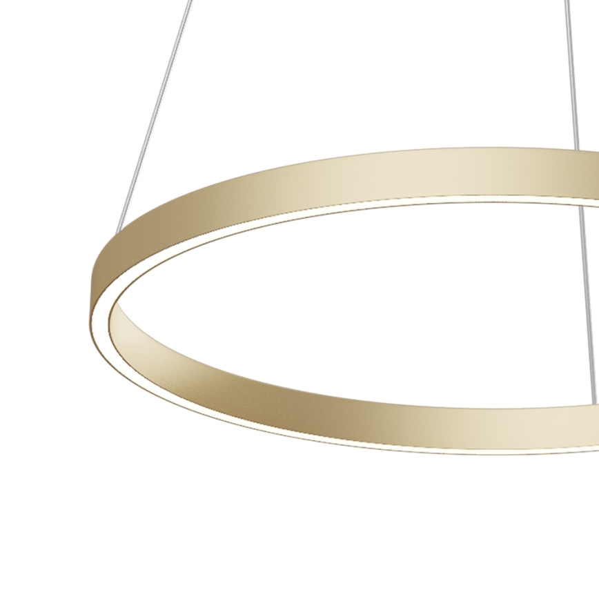 Maytoni MOD058PL-L32BS4K - LED-Kronleuchter an Aufhängung RIM LED/37W/230V 4000K d 60 cm golden