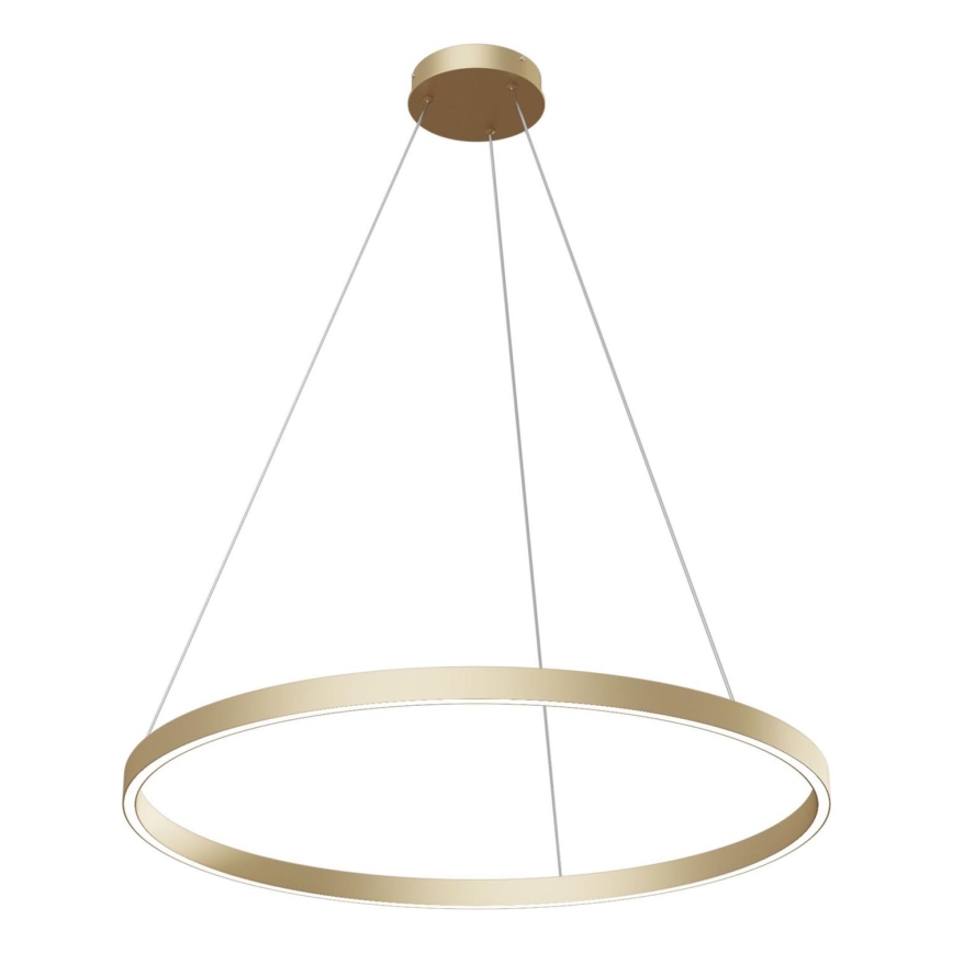 Maytoni MOD058PL-L42BS4K - LED-Kronleuchter an Aufhängung RIM LED/51W/230V 4000K d 80 cm golden
