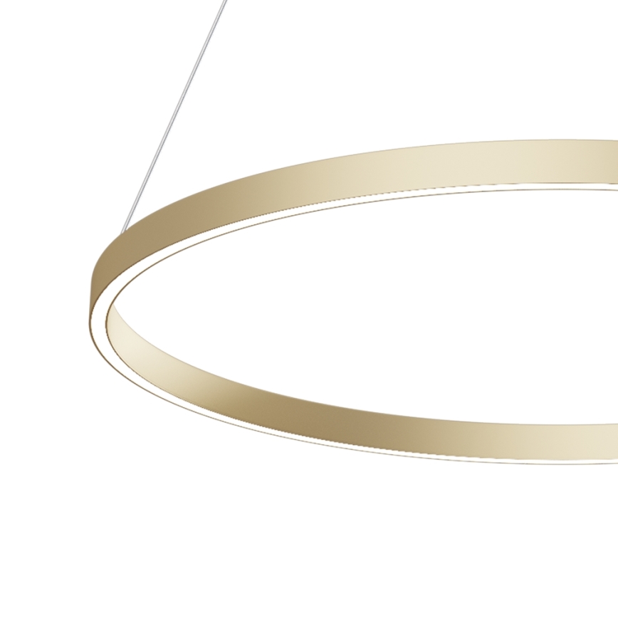Maytoni MOD058PL-L42BS4K - LED-Kronleuchter an Aufhängung RIM LED/51W/230V 4000K d 80 cm golden