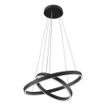 Maytoni MOD058PL-L55B3K - LED-Kronleuchter an Aufhängung RIM LED/61W/230V 3000K d 60 cm schwarz
