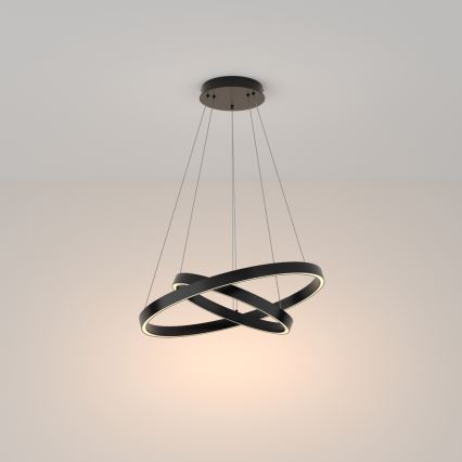 Maytoni MOD058PL-L55B3K - LED-Kronleuchter an Aufhängung RIM LED/61W/230V 3000K d 60 cm schwarz