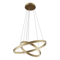 Maytoni MOD058PL-L55BS3K - LED-Kronleuchter an Aufhängung RIM LED/61W/230V 3000K d 60 cm golden