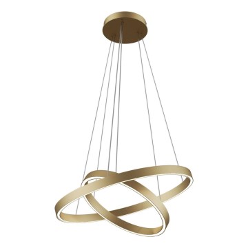 Maytoni MOD058PL-L55BS3K - LED-Kronleuchter an Aufhängung RIM LED/61W/230V 3000K d 60 cm golden