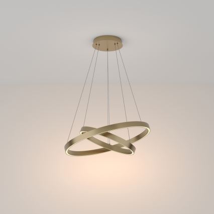 Maytoni MOD058PL-L55BS3K - LED-Kronleuchter an Aufhängung RIM LED/61W/230V 3000K d 60 cm golden