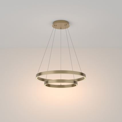 Maytoni MOD058PL-L55BS3K - LED-Kronleuchter an Aufhängung RIM LED/61W/230V 3000K d 60 cm golden
