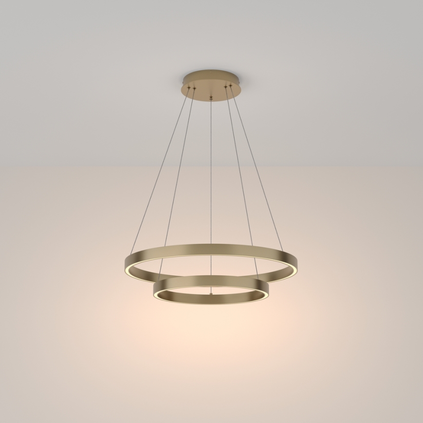 Maytoni MOD058PL-L55BS3K - LED-Kronleuchter an Aufhängung RIM LED/61W/230V 3000K d 60 cm golden