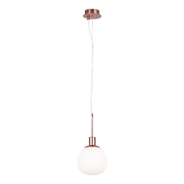 Maytoni MOD221-PL-01-G - Hängeleuchte ERICH 1xE14/40W/230V kupfern
