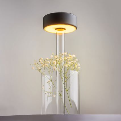 Maytoni MOD229TL-L3B3K1 - LED dimmbare, wiederaufladbare tragbare Tischlampe LED/3W/5V 2200-4000K 2000 mAh schwarz/klar