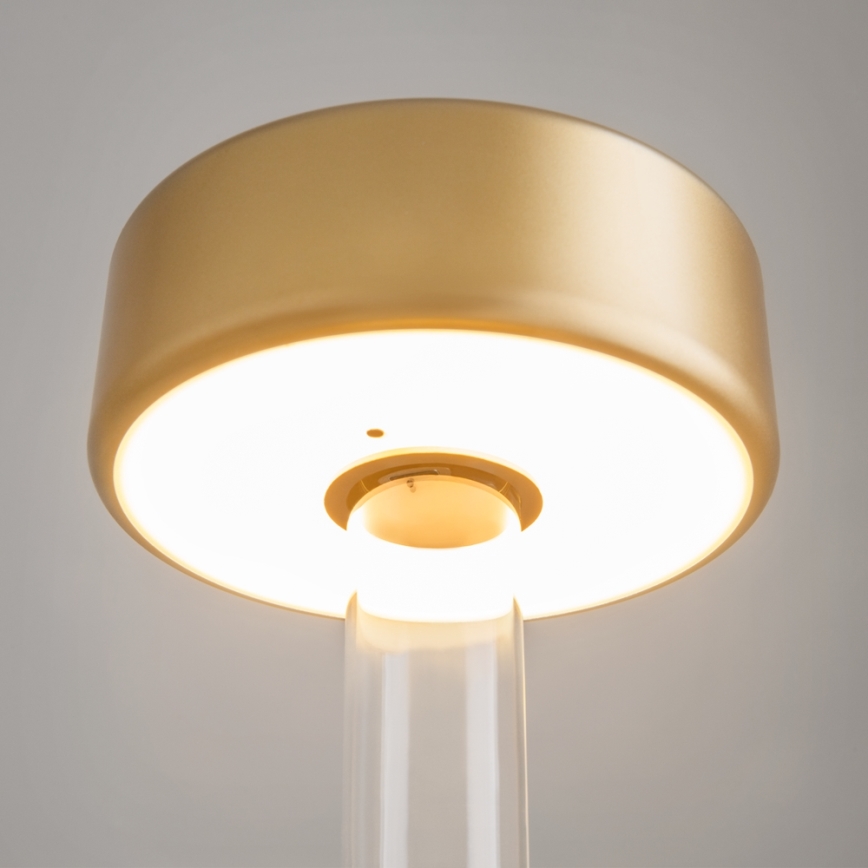 Maytoni MOD229TL-L3G3K1 - LED dimmbare, wiederaufladbare tragbare Tischlampe LED/3W/5V 2200-4000K 2000 mAh gold/klar