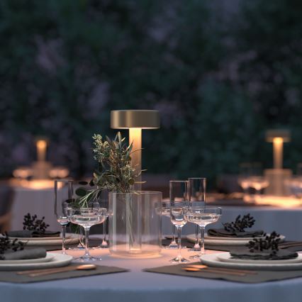Maytoni MOD229TL-L3G3K1 - LED dimmbare, wiederaufladbare tragbare Tischlampe LED/3W/5V 2200-4000K 2000 mAh gold/klar