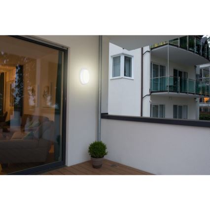 Müller-Licht - LED-Deckenleuchte für den Außenbereich mit Sensor PICTOR LED/8W/230V IP54