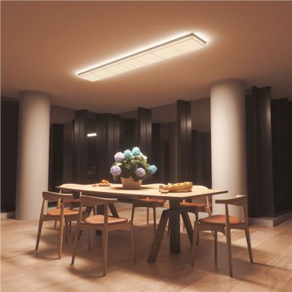 Nanoleaf - Erweiterungsset LED RGBW Dimmbare Leuchte SKYLIGHT LED/16W/230V 2700-6500K Wi-Fi