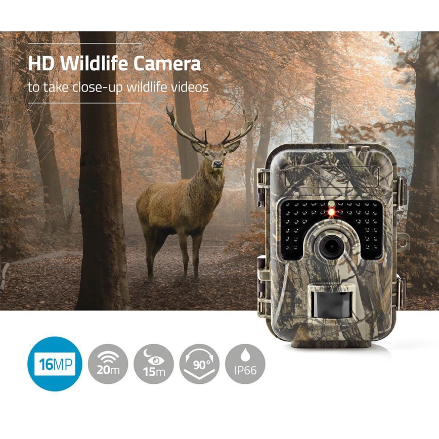 Fotofalle 16MP 8xAA IP66