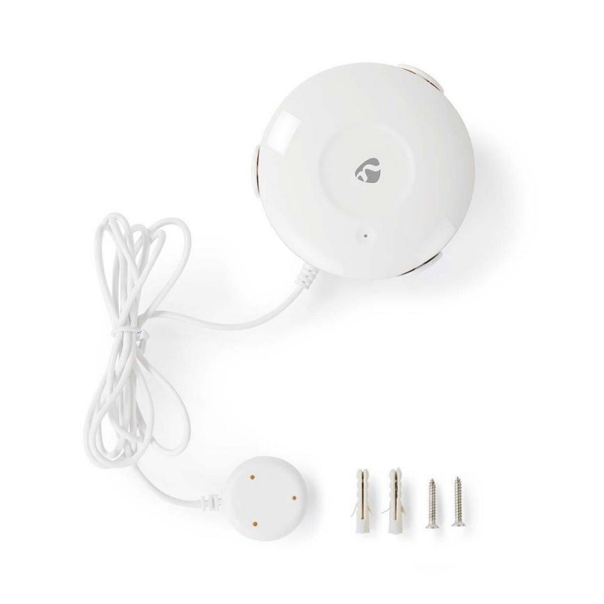 Wasserleck-Detektor 3V/1xCR123A + 1xCR2/20dBm Wi-Fi