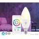 LED-RGB-Glühbirne dimmbar Smartlife E14/4,9W/230V Wi-Fi 2700-6500K