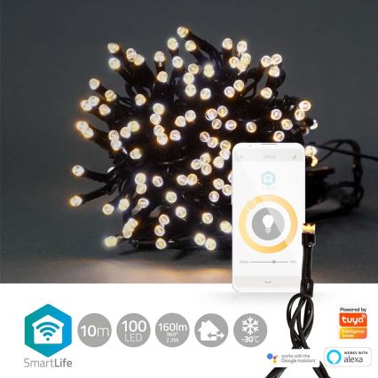 LED-Weihnachtskette für draußen 100xLED/8 Funktionen 15m IP65 WLAN Tuya warmweiß