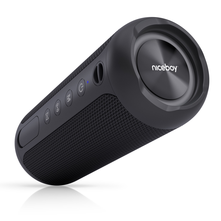 Niceboy Polaris - Kabelloser LED-Lautsprecher mit Mikrofon 30W/4000 mAh IPX7 schwarz