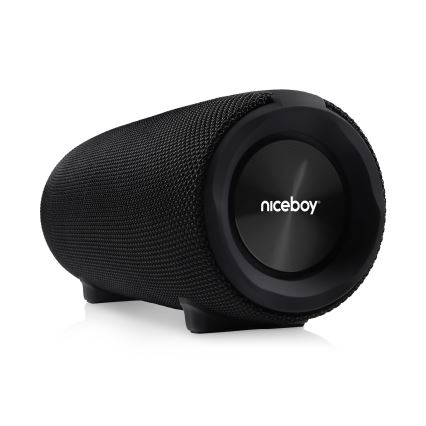 Niceboy Titan 4 - LED Kabelloser Lautsprecher mit Mikrofon und Powerbank-Funktionen 50W/4000 mAh IPX7 schwarz