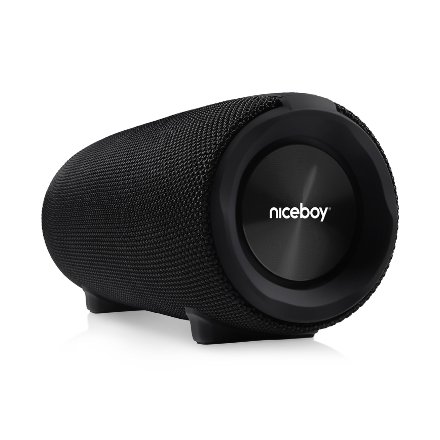 Niceboy Titan 4 - LED Kabelloser Lautsprecher mit Mikrofon und Powerbank-Funktionen 50W/4000 mAh IPX7 schwarz