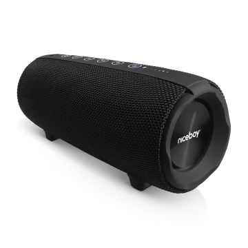 Niceboy Titan 4 - LED Kabelloser Lautsprecher mit Mikrofon und Powerbank-Funktionen 50W/4000 mAh IPX7 schwarz