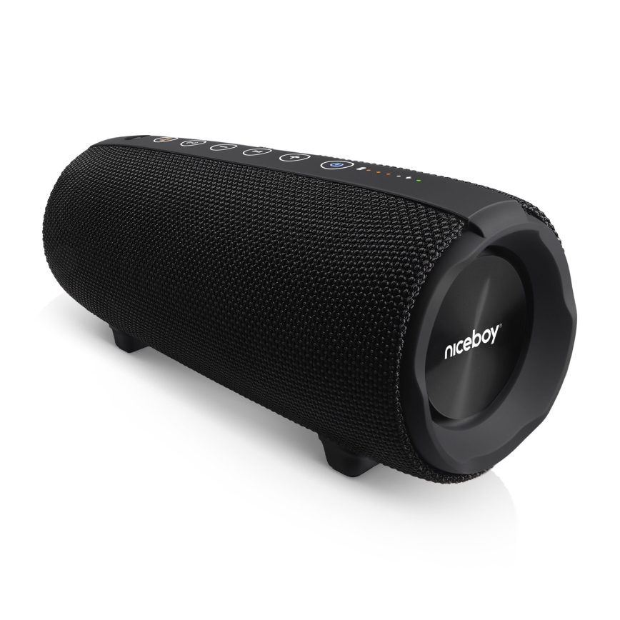 Niceboy Titan 4 - LED Kabelloser Lautsprecher mit Mikrofon und Powerbank-Funktionen 50W/4000 mAh IPX7 schwarz