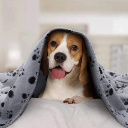 Nobleza - Decke für Haustiere 100x120 cm grau