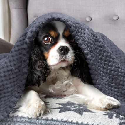 Nobleza - Decke für Haustiere 100x80 cm grau