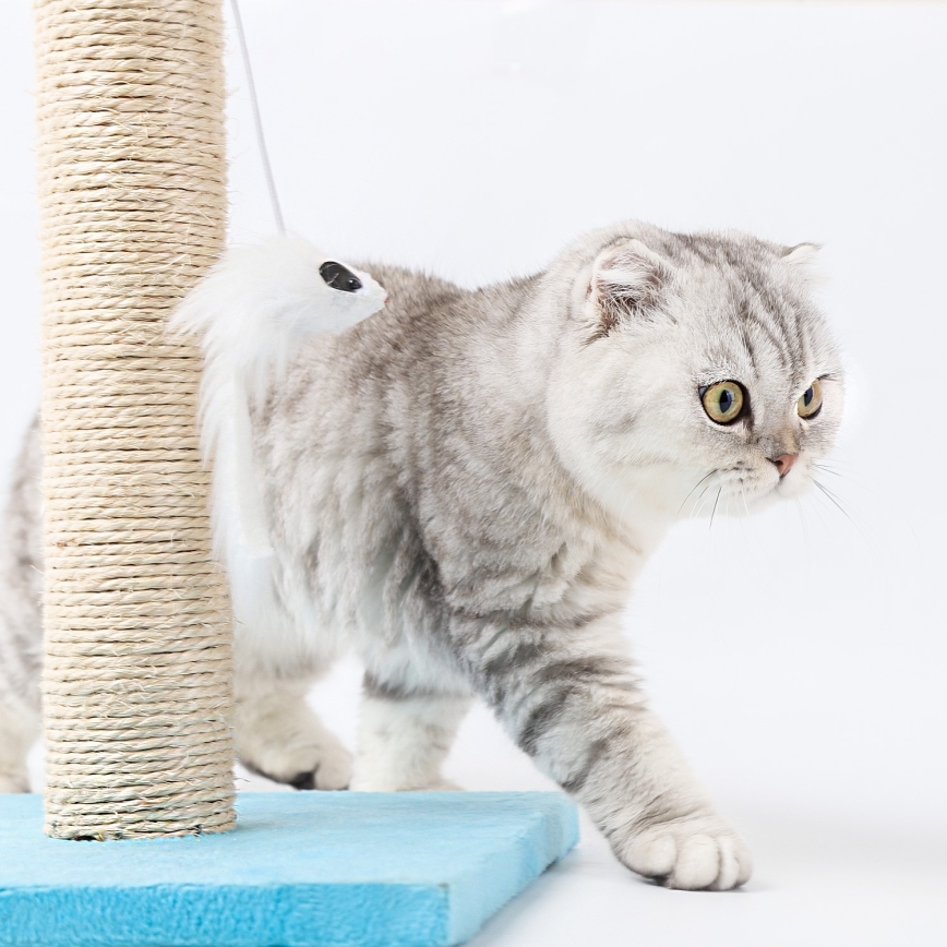 Nobleza - Kratzbaum für Katzen blau/beige