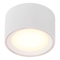 Nordlux - dimmbarer LED-Spot FALLON LED/5,5W/230V weiß