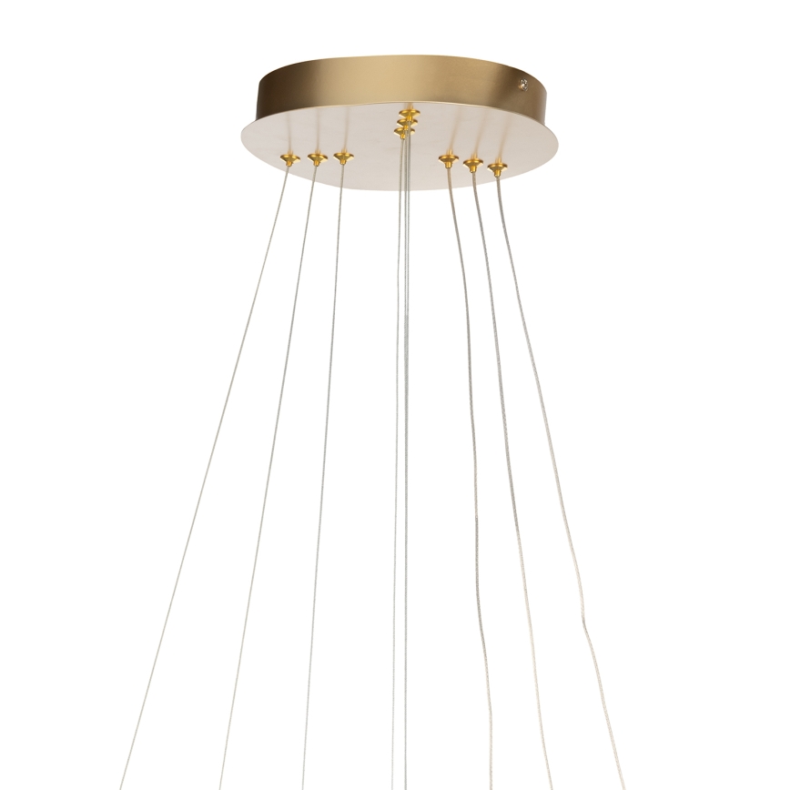 ONLI - LED-Pendelleuchte NOELIA mit Kabelaufhängung LED/40W/230V, goldfarben