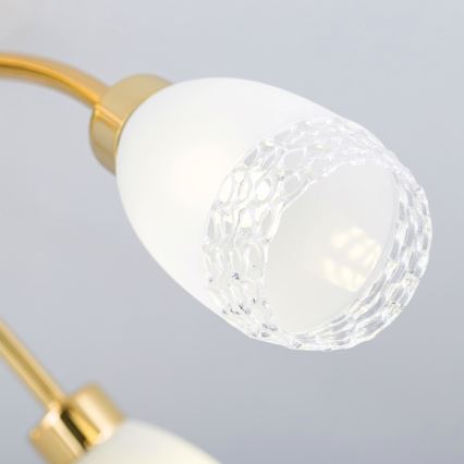 Deckenleuchte CARLA 5xG9/28W/230V gold