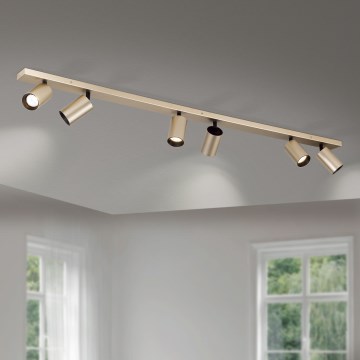 Orion - Deckenstrahler SEAN 6xGU10/13W/230V, goldfarben