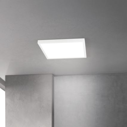 Dimmbare LED-Deckenleuchte DISC LED/30W/230V 2700/3000/4000K 39x39 cm weiß