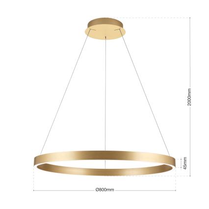 dimmbare LED-Hängeleuchte an Kabel KOLK LED/80W/230V 2700/3000/4000K Ø 80 cm goldfarben