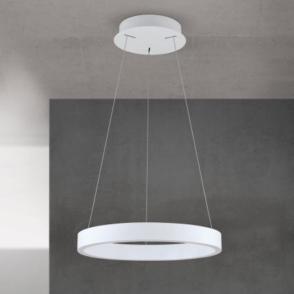 KOLK LED-dimmbare Pendelleuchte an Kabel, LED/40W/230V, 2700/3000/4000K, Ø 40 cm, weiß