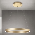 Orion - Dimmbare LED-Pendelleuchte an Seil KOLK LED/60W/230V 2700/3000/4000K Ø 60 cm gold