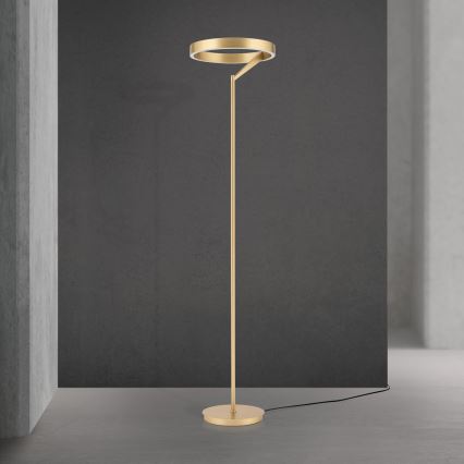 LED-dimmbare Stehleuchte KOLK LED/40W/230V 2700/4000K goldfarben